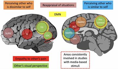 Perspective taking in the human brain: complementary evidence from neuroimaging studies with media-based naturalistic stimuli and artificial controlled paradigms